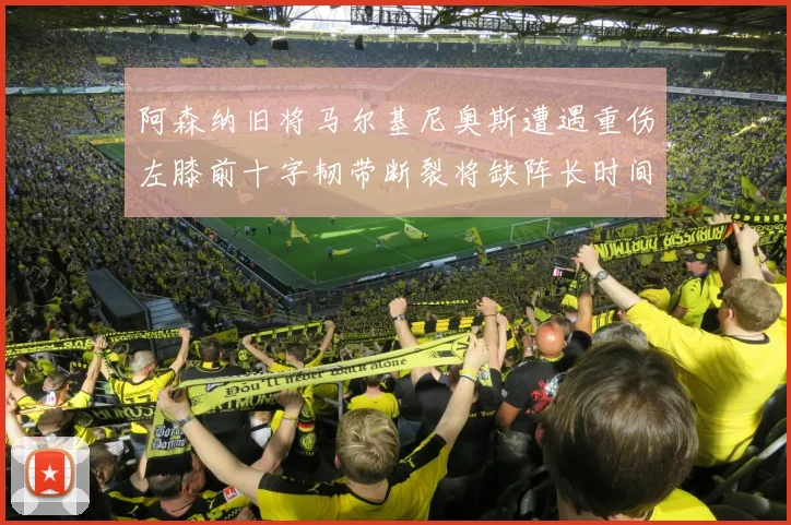 阿森纳旧将马尔基尼奥斯遭遇重伤左膝前十字韧带断裂将缺阵长时间
