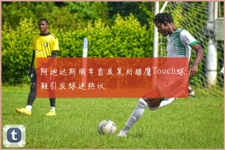 阿迪达斯明年首度复刻猎鹰Touch球鞋引发球迷热议