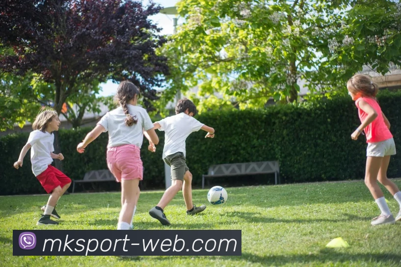 MK体育平台生态图