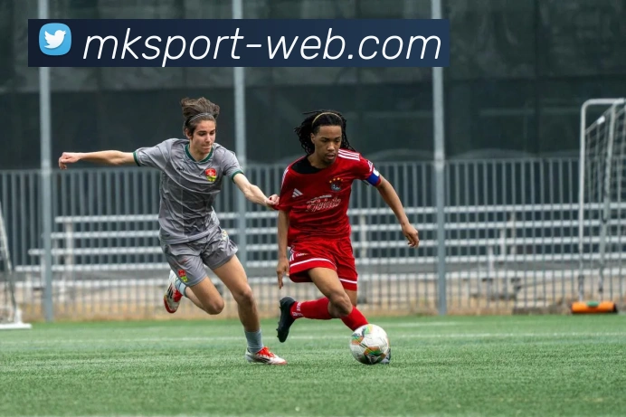 MK体育APP 封面图