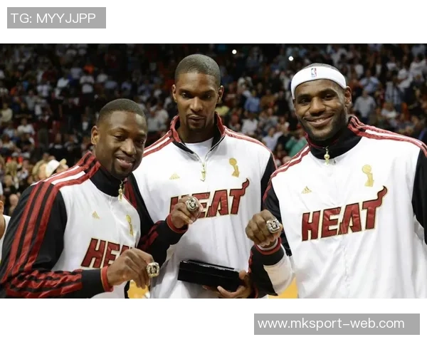 富保罗直言热火三巨头不成立波什未达特权级别引发热议